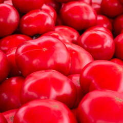 Delicious red tomatoes. Summer tray market agriculture farm full of organic vegetables It can be used as background.