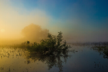 thick fog rises over fields in the rays of the rising sun on a warm summer morning