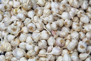 close up of garlic on market
