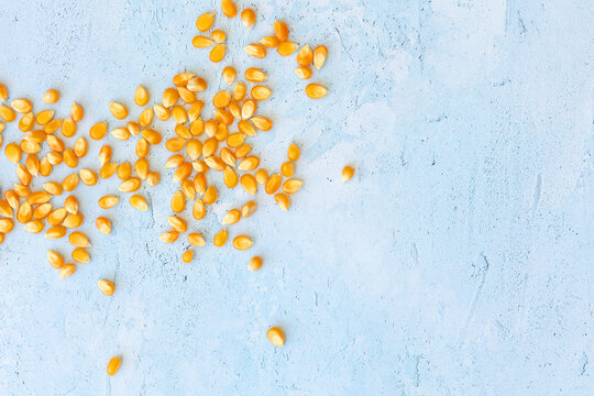 Popcorn kernals on blue background