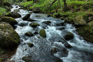 Creek Zelený potok at Pec pod Sněžkou in Giant Mountains, Czech Republic, Europe
