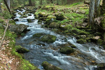 Creek Zelený potok at Pec pod Sněžkou in Giant Mountains, Czech Republic, Europe
