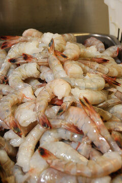 Seafood images for the food industry.