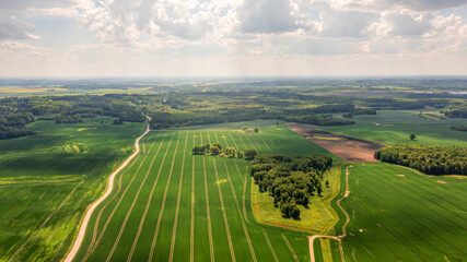 Fototapeta na wymiar aerial view to countryside with green agricultural fields and forests