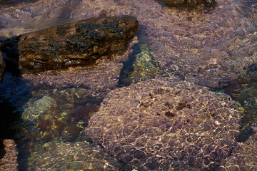 Tidal bore. Stone bottom. Clear water.