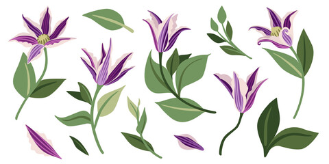 Set of bright flowers and leaves. vector illustrations for stickers, invitations, postcards and other materials.
