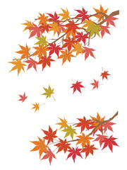 風になびく紅葉　秋のイラスト素材