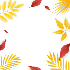 Autumn seasonal background frame with autumn leaves and copy space for text isolated on white background , illustration Vector EPS 10