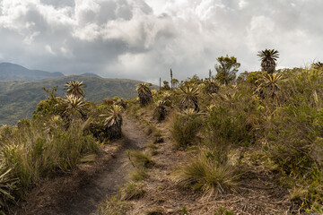 path through the mountains in south américa, Bogotá