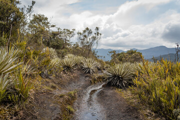 path through the mountains in south américa, Bogotá