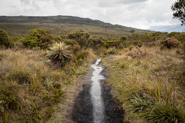 path through the mountains in south américa, Bogotá