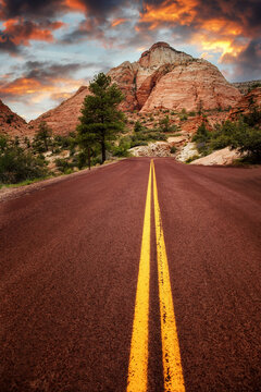 On the road in Zion at sunset, Utah, USA