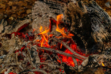 texture flame from burning logs at night