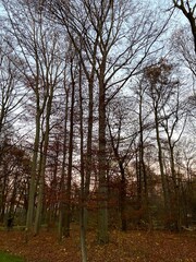 Obraz premium Travel