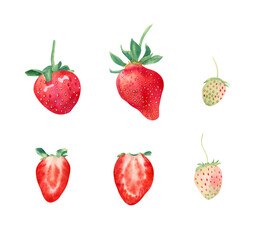 Watercolor strawberry set. Red ripe strawberries, green berry, sliced sweet berry