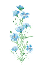 Watercolor hand painted nature field floral composition with blue blossom linen flax flowers on green branch bouquet on the white background for design elements and cards