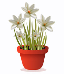 White hibiscus room plant flowers. Vector Illustration