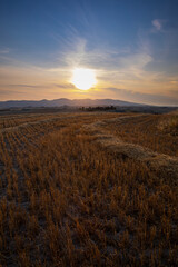 suggestive sunset in the summer straw field in Italy