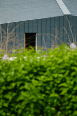 Fototapeta premium Hedge with green bushes in front of modern building.