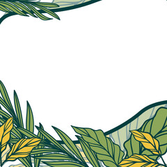 border social media background for summer with monstera leaves, and palm.