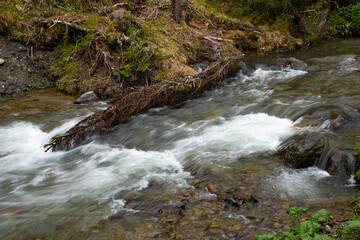 Naklejka premium wild river in the remote mountain area Hochrindl in the Austria region of Carinthia
