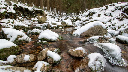 Mountain stream in forest in winter