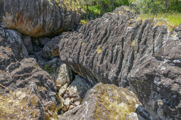Around Wairere Boulders in New Zealand