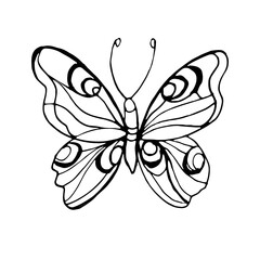 Obraz na płótnie Canvas Butterflies insects graphic illustration hand-drawn vector doodle sketch. nature animals wings in flight