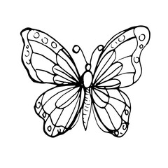 Butterflies insects graphic illustration hand-drawn vector doodle sketch. nature animals wings in flight