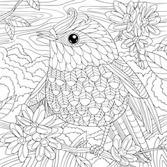 Tropical little bird on blossom branch with flowers. Coloring book page for adult with doodle and zen tangle elements. Vector outline isolated illustration.