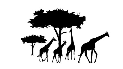 Black silhouette clipart of giraffe. vector illustration, 