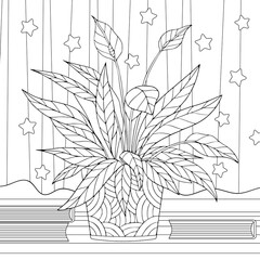 Spathiphyllum in bloom at home interior with books. Coloring book page of piece lilies houseplant with doodle and zentangle elments for adult.