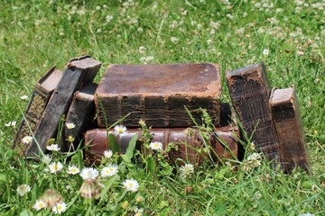 Alte Bücher auf grüner Wiese
