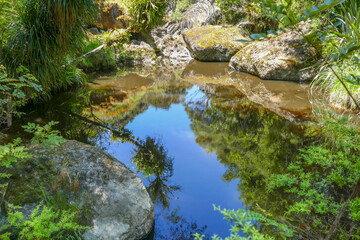 Around Wairere Boulders in New Zealand