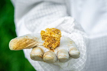 beeswax in the hands of the beekeeper