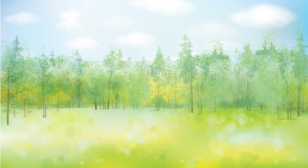 Vector summer  landscape.. Blue sky and green forest background.