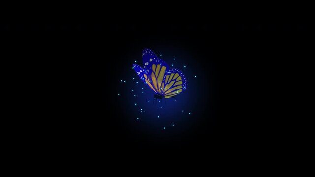 Animation of a magic butterfly flying on a black background. 