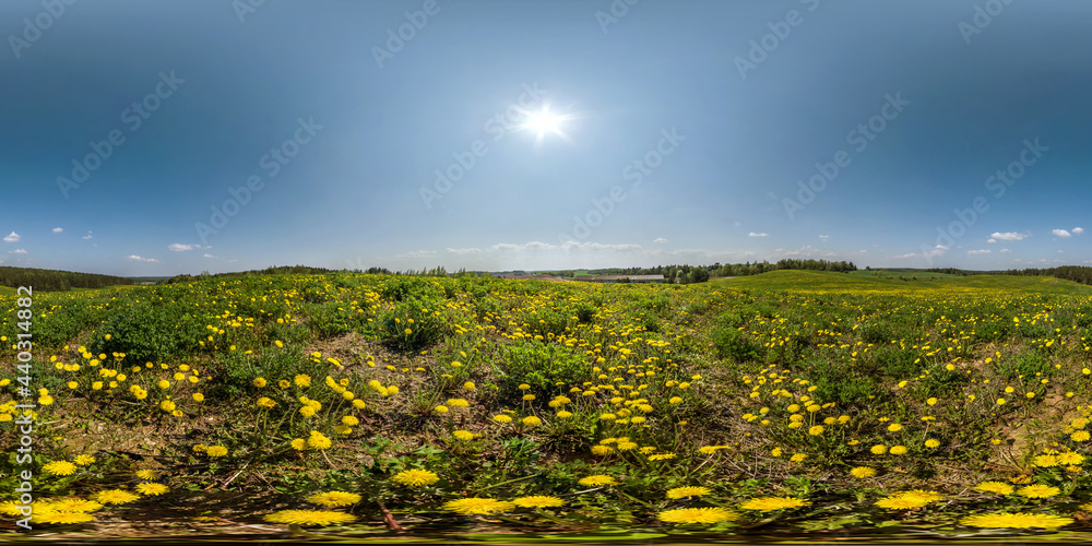 Wall mural full seamless spherical hdri panorama 360 degrees angle view on among dandelion flower field in summ
