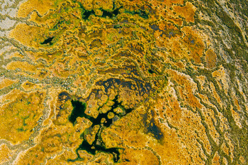 Miory District, Vitebsk Region, Belarus. The Yelnya Swamp. Upland And Transitional Bogs With Numerous Lakes. Elevated Aerial View Of Yelnya Nature Reserve Landscape. Famous Natural Landmark