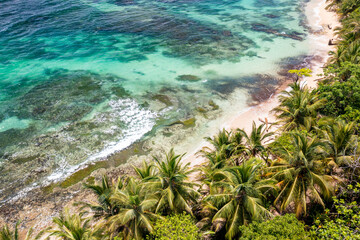 Tropical Island Aerial View. Wild coastline lush exotic green jungle. Red Frog Beach in Bastimentos Island, Bocas del Toro, Central America, Panama.