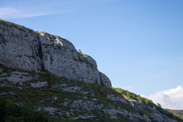 Magical forest climbing the highest Mountain