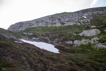 Magical forest climbing the highest Mountain