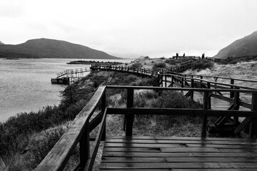 TIERRA DEL FUEGO NATIONAL PARK, USHUAIA, ARGENTINA - SEPTEMBER 07, 2017: Black and white picture of footbridge at Parque Nacional Tierra Del Fuego.