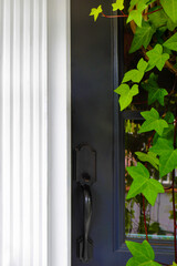 Black door handle and door with green ivy on white house