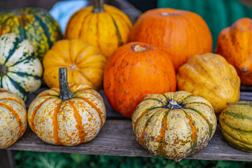 Autumn still life