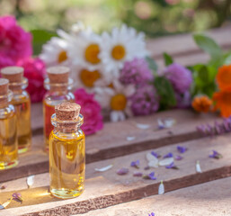 essential oil bottles with fresh flowers of rose, chamomile, clover, calendula and sage on the wood table	
