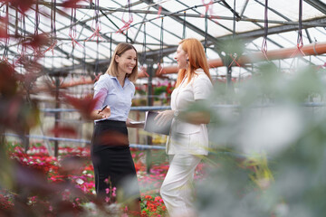 Greenhouse owner presenting flowers options to a potential customer retailer. They have a business discussion, planning future collaboration while noting and negotiating conditions