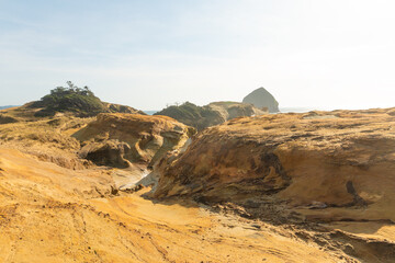 In the photo we see a deserted area. Sandy hills. Wildlife. Clear blue sky. Sunny day. There are no people in the photo. There is a place for your insert. Texture. Wallpaper. Background.