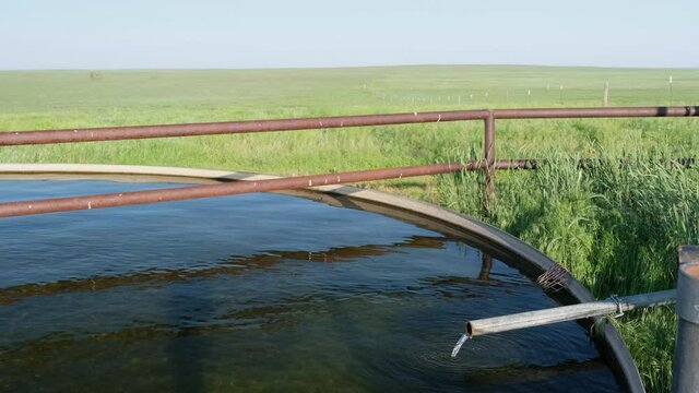 cattle water tank with water coming from windmill pump in a green prairie - Pawnee National Grassland in northern Colorado