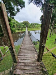 wooden bridge over the river